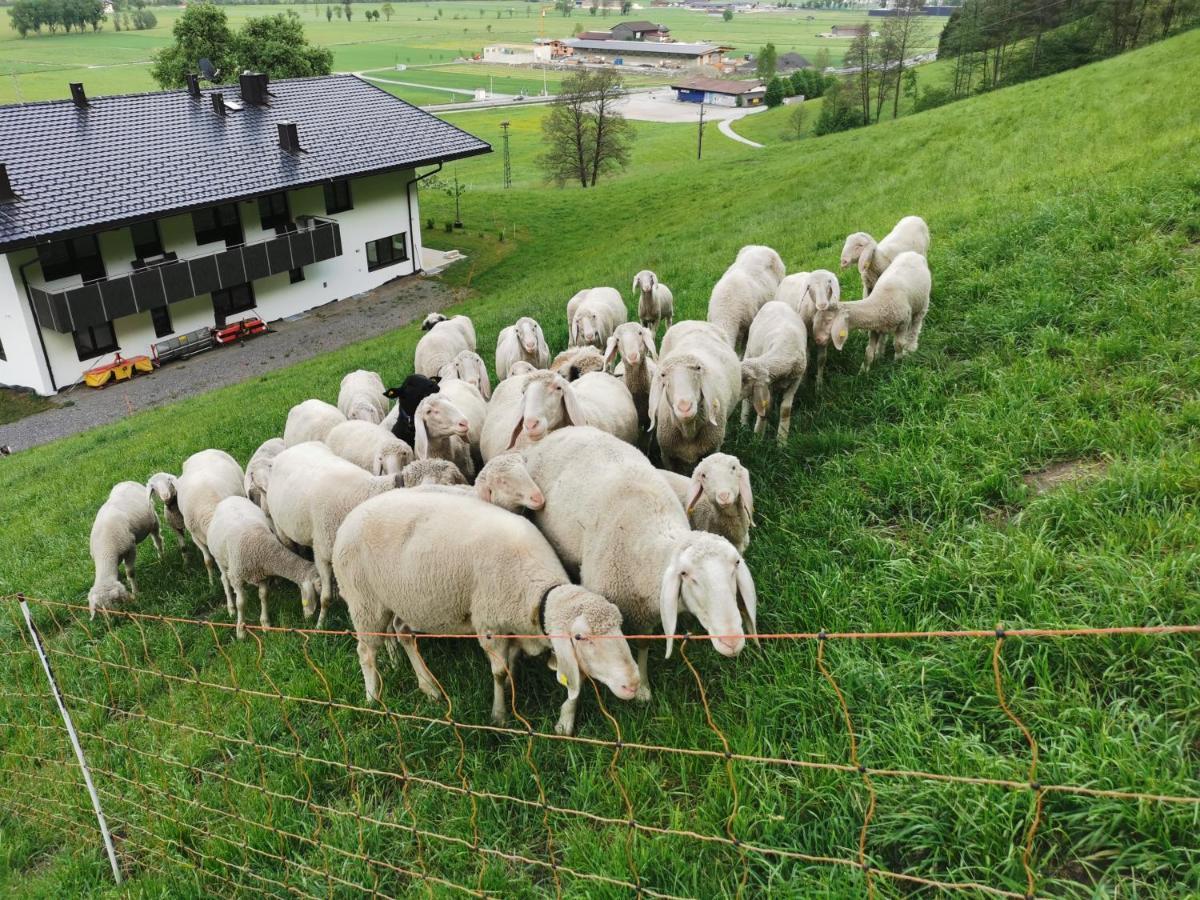 Aberghof Lägenhet Fügen Exteriör bild