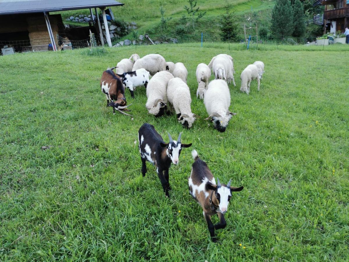 Aberghof Lägenhet Fügen Exteriör bild