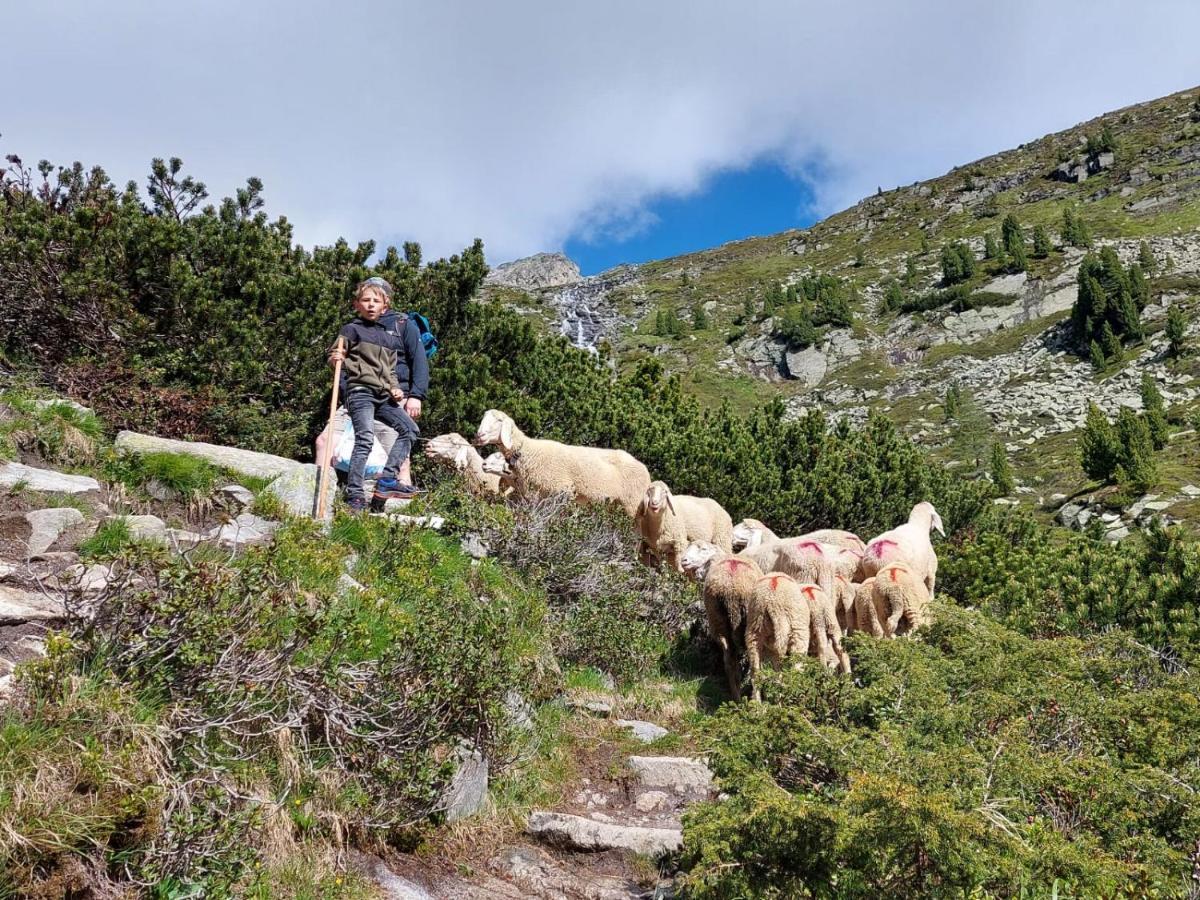 Aberghof Lägenhet Fügen Exteriör bild